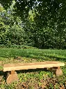MBA018_Paulin (1).webp