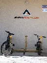 MSV001_Jude (2).webp