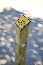 MSV003_Lennie (3).webp