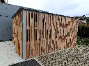 MSV018_Viria 2.webp