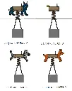 JMJ025_Les Ressorts animés.webp