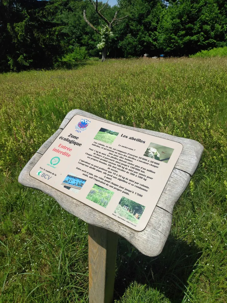 SPT007_Ozark (3).webp