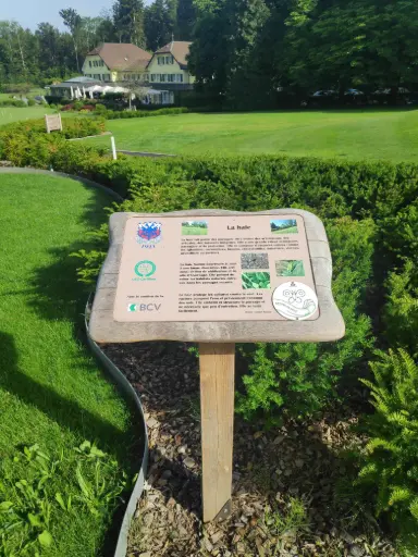 [SPT007] Ozark